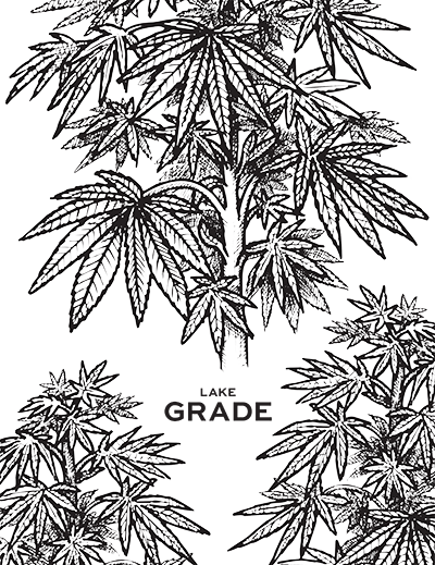 LAKEGRADE-Coloring-Page-Cannabis-Plant
